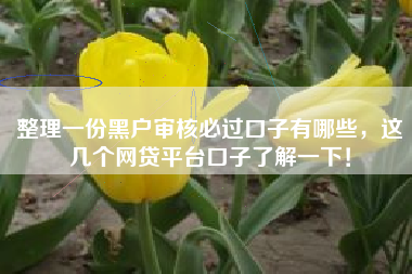 整理一份黑户审核必过口子有哪些，这几个网贷平台口子了解一下！