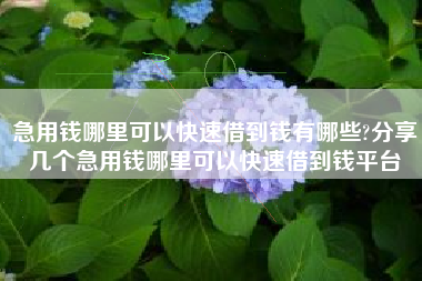 急用钱哪里可以快速借到钱有哪些?分享几个急用钱哪里可以快速借到钱平台