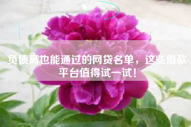 负债高也能通过的网贷名单，这些借款平台值得试一试！