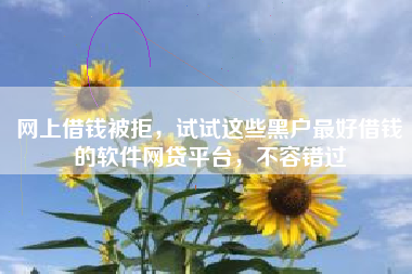 网上借钱被拒，试试这些黑户最好借钱的软件网贷平台，不容错过