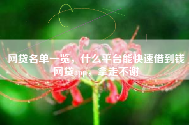 网贷名单一览，什么平台能快速借到钱网贷app，拿走不谢