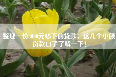 整理一份3000元必下的贷款，这几个小额贷款口子了解一下！