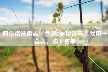 网贷精选盘点：急需2000块钱马上就用一览表，必下名单