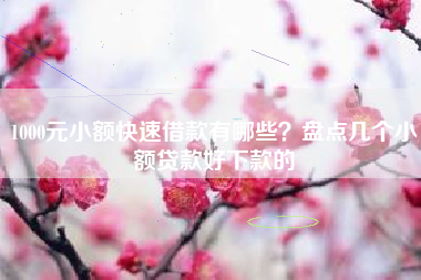 1000元小额快速借款有哪些？盘点几个小额贷款好下款的