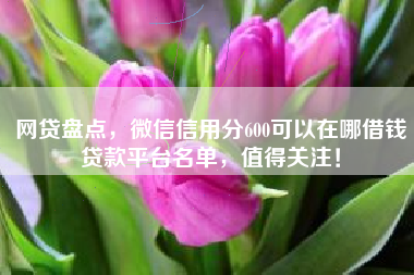 网贷盘点，微信信用分600可以在哪借钱贷款平台名单，值得关注！