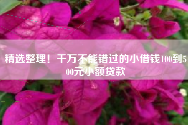 精选整理！千万不能错过的小借钱100到500元小额贷款
