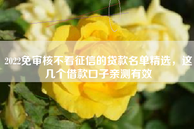 2022免审核不看征信的贷款名单精选，这几个借款口子亲测有效