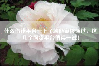 什么借钱平台一下子就能审核通过，这几个网贷平台值得一试！