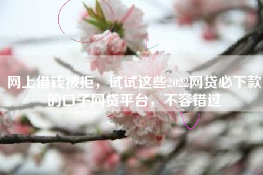 网上借钱被拒，试试这些2022网贷必下款的口子网贷平台，不容错过