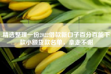 精选整理一份2022借款新口子百分百能下款小额贷款名单，拿走不谢