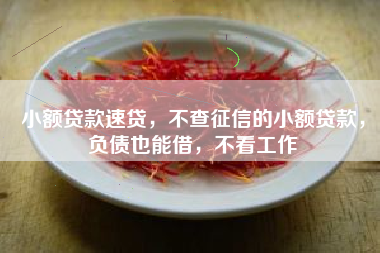 小额贷款速贷，不查征信的小额贷款，负债也能借，不看工作