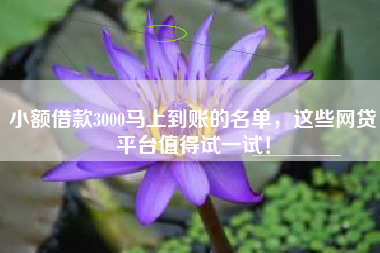 小额借款3000马上到账的名单，这些网贷平台值得试一试！