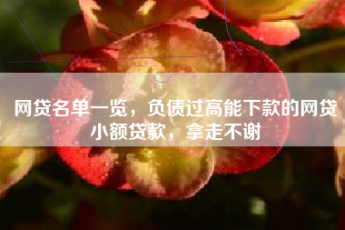网贷名单一览，负债过高能下款的网贷小额贷款，拿走不谢
