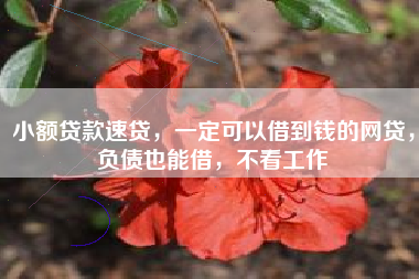 小额贷款速贷，一定可以借到钱的网贷，负债也能借，不看工作