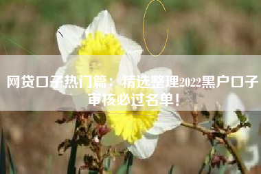 网贷口子热门篇：精选整理2022黑户口子审核必过名单！