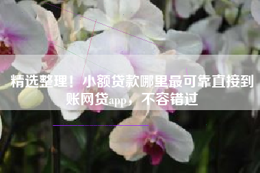 精选整理！小额贷款哪里最可靠直接到账网贷app，不容错过