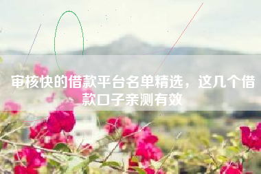 审核快的借款平台名单精选，这几个借款口子亲测有效