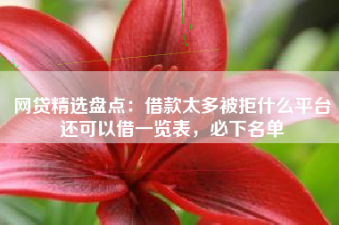 网贷精选盘点：借款太多被拒什么平台还可以借一览表，必下名单