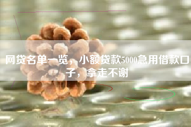 网贷名单一览，小额贷款5000急用借款口子，拿走不谢