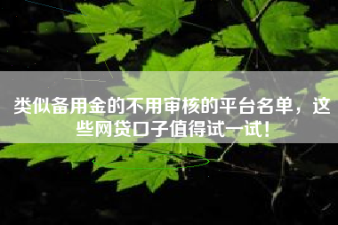 类似备用金的不用审核的平台名单，这些网贷口子值得试一试！
