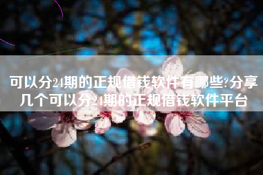 可以分24期的正规借钱软件有哪些?分享几个可以分24期的正规借钱软件平台