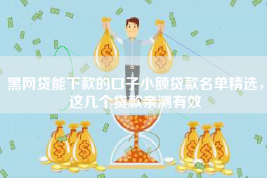 黑网贷能下款的口子小额贷款名单精选，这几个贷款亲测有效