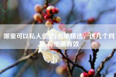 哪里可以私人借5万名单精选，这几个网贷app亲测有效