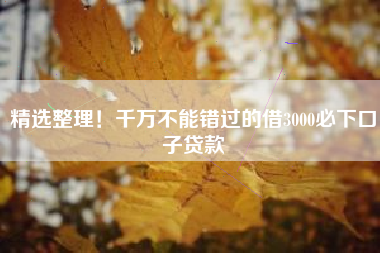 精选整理！千万不能错过的借3000必下口子贷款