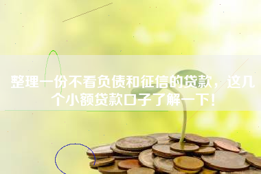 整理一份不看负债和征信的贷款，这几个小额贷款口子了解一下！