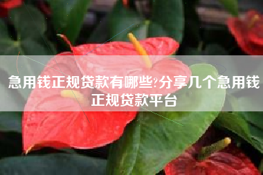 急用钱正规贷款有哪些?分享几个急用钱正规贷款平台