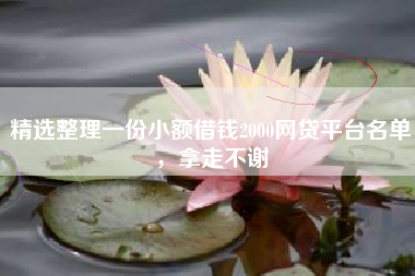 精选整理一份小额借钱2000网贷平台名单，拿走不谢