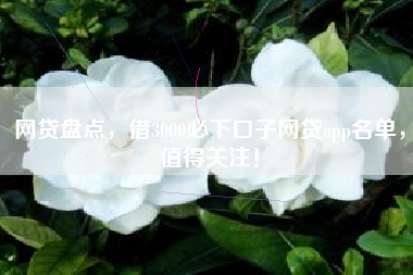 网贷盘点，借3000必下口子网贷app名单，值得关注！