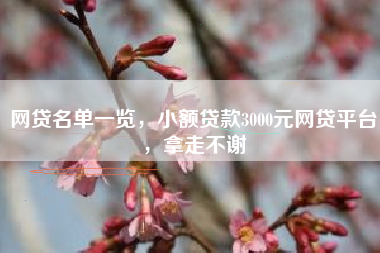 网贷名单一览，小额贷款3000元网贷平台，拿走不谢