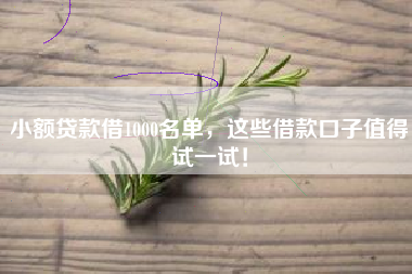 小额贷款借1000名单，这些借款口子值得试一试！