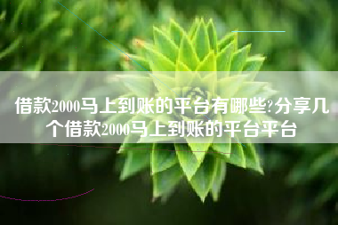 借款2000马上到账的平台有哪些?分享几个借款2000马上到账的平台平台