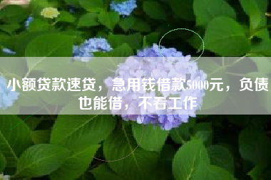 小额贷款速贷，急用钱借款5000元，负债也能借，不看工作