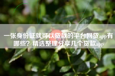 一张身份证就可以贷款的平台网贷app有哪些？精选整理分享几个贷款app