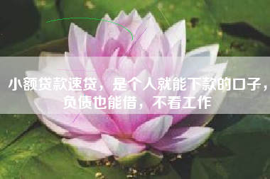小额贷款速贷，是个人就能下款的口子，负债也能借，不看工作