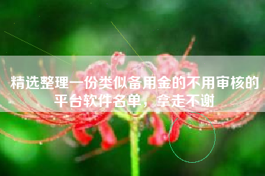 精选整理一份类似备用金的不用审核的平台软件名单，拿走不谢