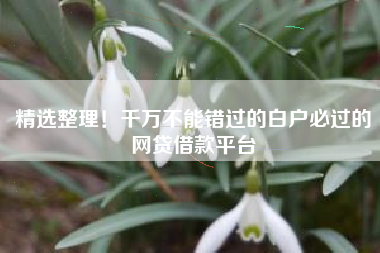精选整理！千万不能错过的白户必过的网贷借款平台