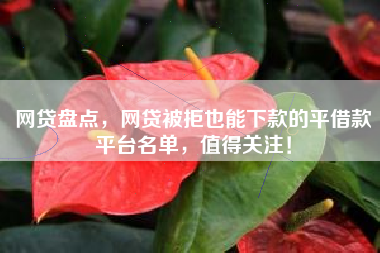网贷盘点，网贷被拒也能下款的平借款平台名单，值得关注！