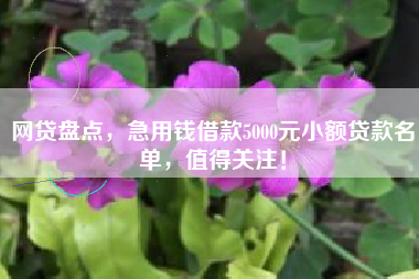网贷盘点，急用钱借款5000元小额贷款名单，值得关注！