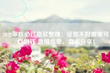 2022审核必过贷款整理：征信不好哪里可以借钱 急用名单，盘点分享！