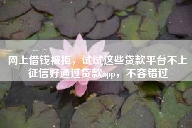 网上借钱被拒，试试这些贷款平台不上征信好通过贷款app，不容错过