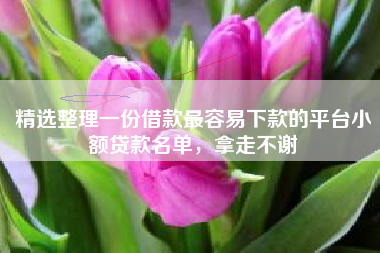 精选整理一份借款最容易下款的平台小额贷款名单，拿走不谢