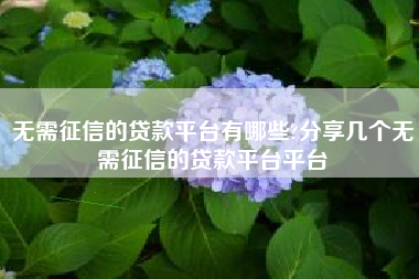 无需征信的贷款平台有哪些?分享几个无需征信的贷款平台平台