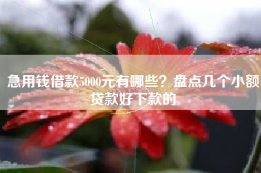 急用钱借款5000元有哪些？盘点几个小额贷款好下款的
