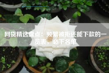 网贷精选盘点：频繁被拒还能下款的一览表，必下名单