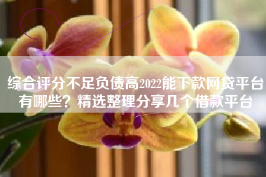 综合评分不足负债高2022能下款网贷平台有哪些？精选整理分享几个借款平台