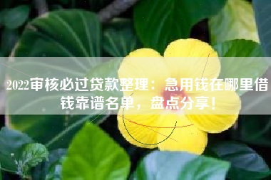 2022审核必过贷款整理：急用钱在哪里借钱靠谱名单，盘点分享！